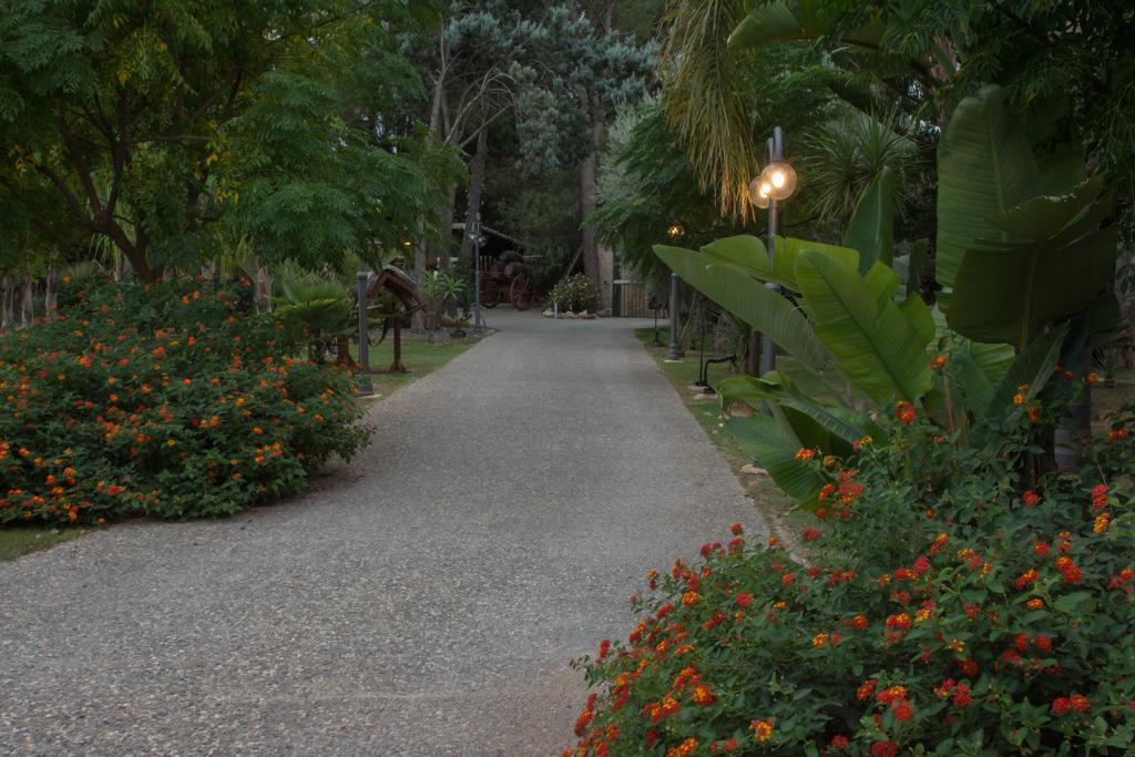 Agriturismo Papyrus 锡拉库扎 外观 照片